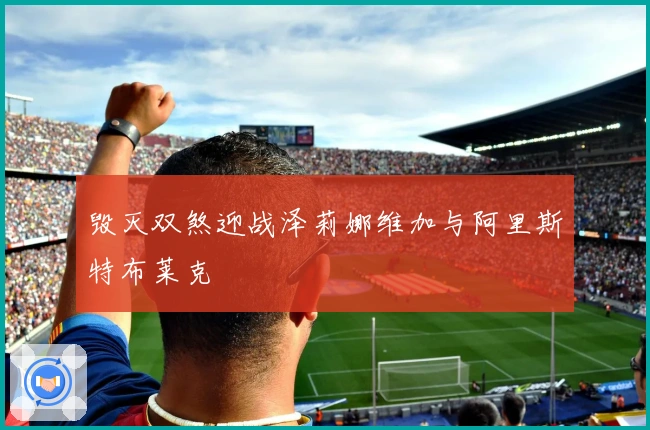 毁灭双煞迎战泽莉娜维加与阿里斯特布莱克