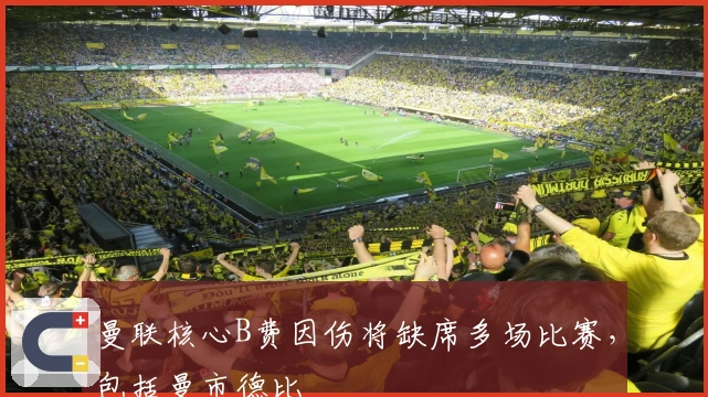 曼联核心B费因伤将缺席多场比赛，包括曼市德比