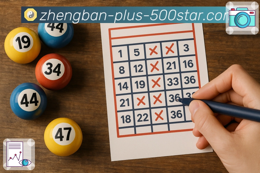 荣耀与信任共前行